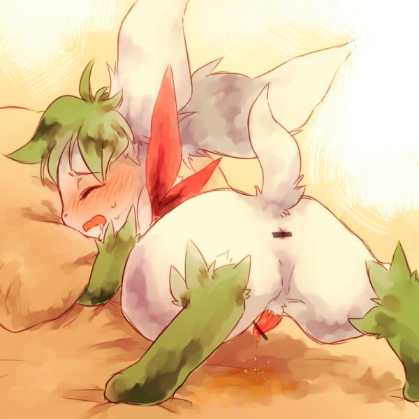 sky get how form oras shaymin to Star vs the forces of evil between friends xcartx